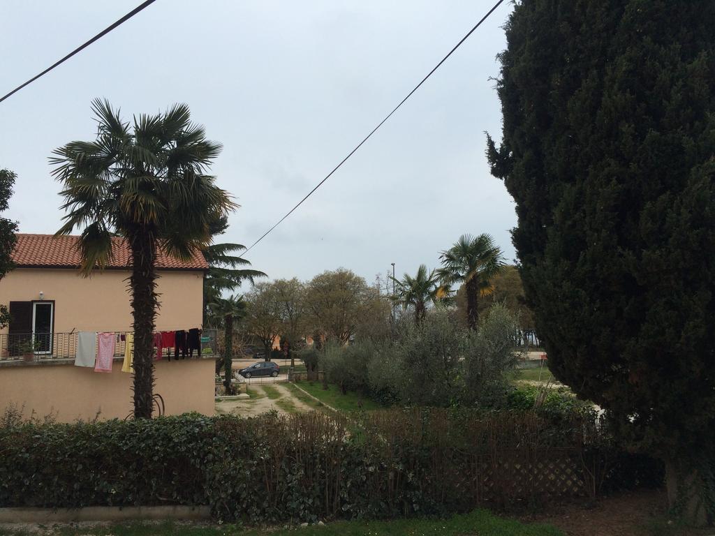 Apartment Parenzana بوريتش المظهر الخارجي الصورة
